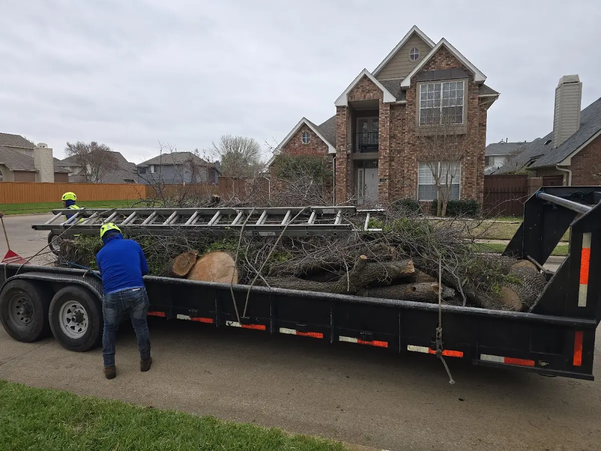 Expert Tree Removal with proper safety equipment in Deer Creek